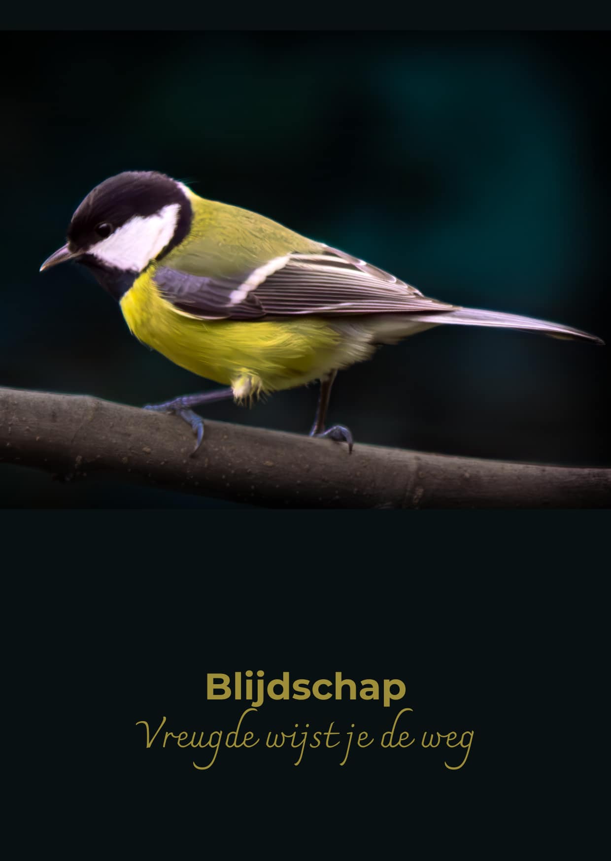 Inspirational card: Tit