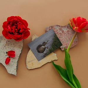 Folded Card: Funny duck duck dance