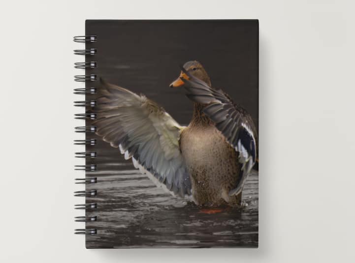 Notebook: Female Duck