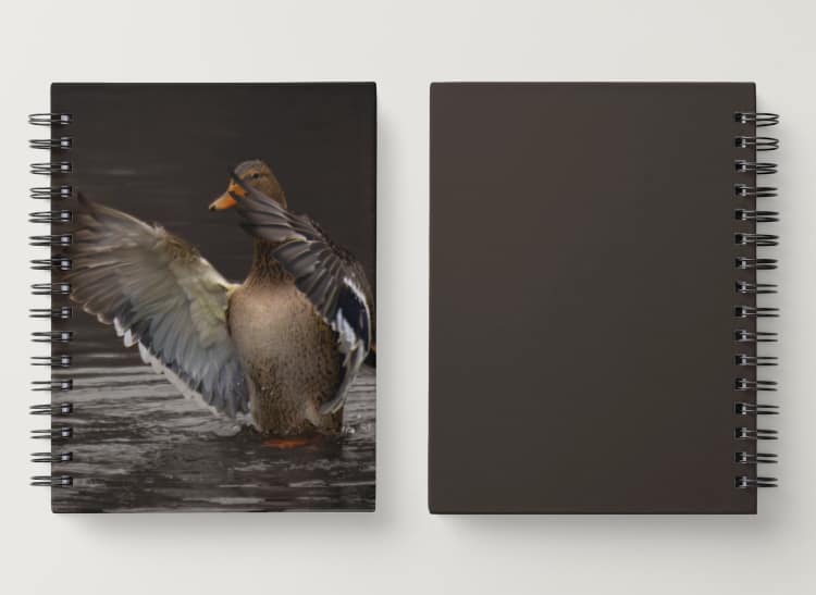 Notebook: Female Duck - Image 2