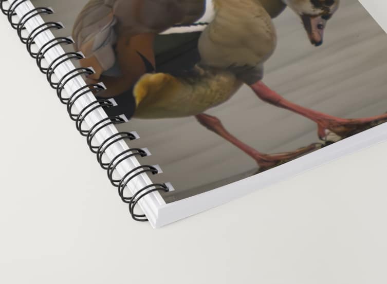 Notebook: Egyptian goose - Image 4